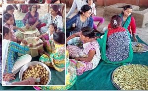 Chywanprash Making at Aurapark