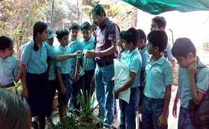 School Children learning about medicinal plants